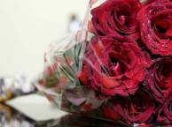Девушка Цветы flowers, nature, wallpaper 222 обои рабочий стол
