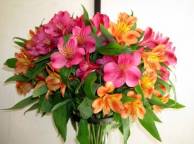 Девушка Цветы flowers, nature, wallpaper 3128 обои рабочий стол