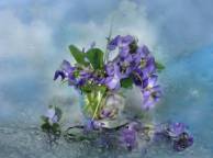 Девушка Цветы flowers, nature, wallpaper 431 обои рабочий стол