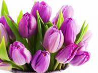 Девушка Цветы flowers, nature, wallpaper 4167 обои рабочий стол