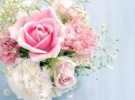 Девушка Цветы flowers, nature, wallpaper 4179 обои рабочий стол