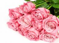 Девушка Цветы flowers, nature, wallpaper 4163 обои рабочий стол