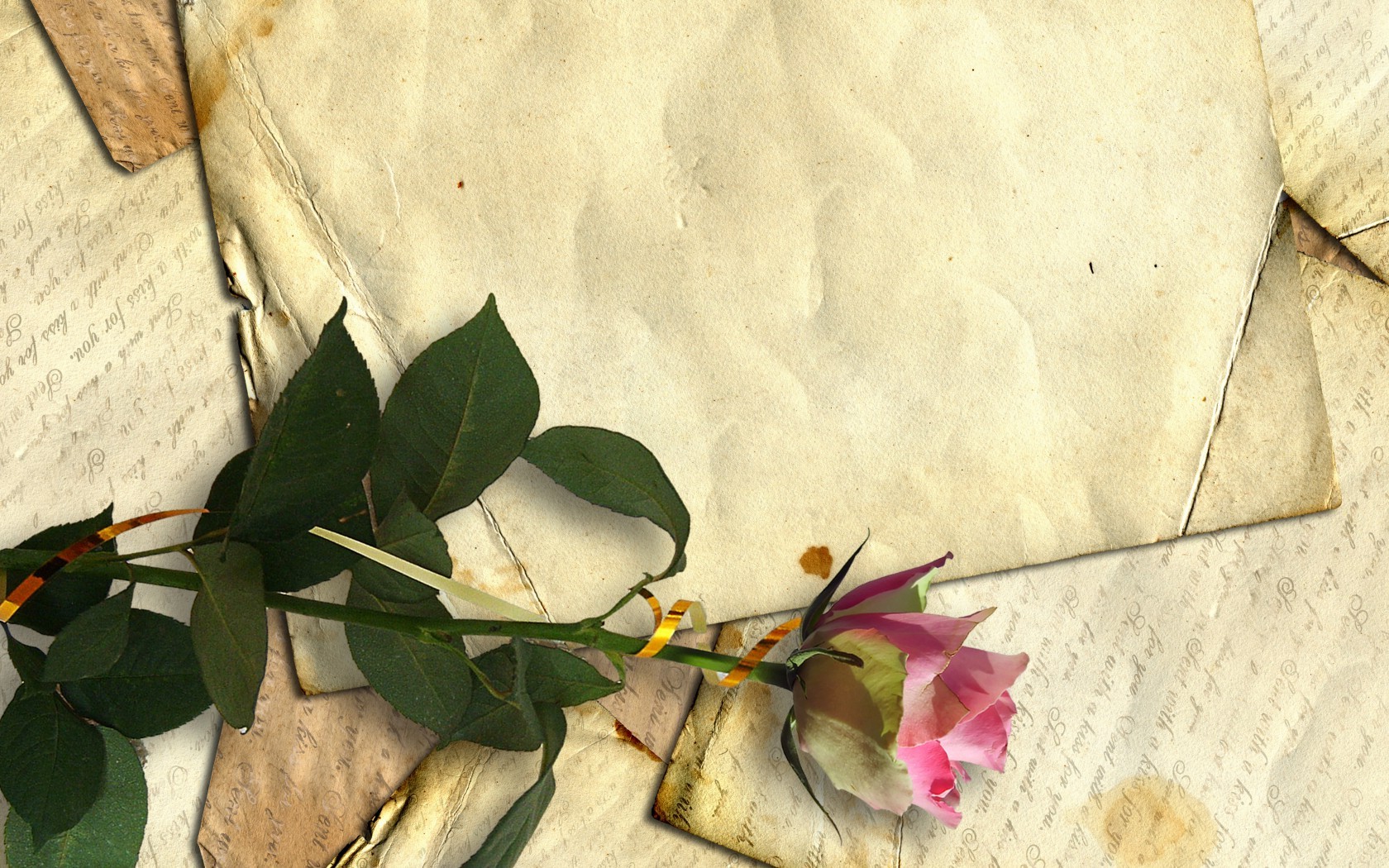  Цветы ретро, старая бумага, строки, роза, засушенный картинка, обои рабочий стол