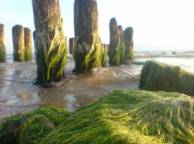 Девушка Море sea, ocean, wallpaper 149 обои рабочий стол
