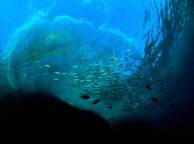 Девушка Море sea, ocean, wallpaper 188 обои рабочий стол