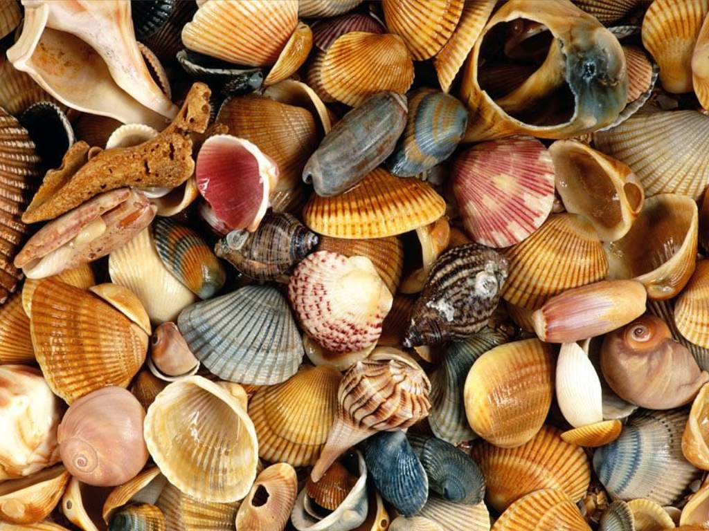 Природа, пейзаж Море sea, ocean, wallpaper 1118 красивые обои рабочий стол